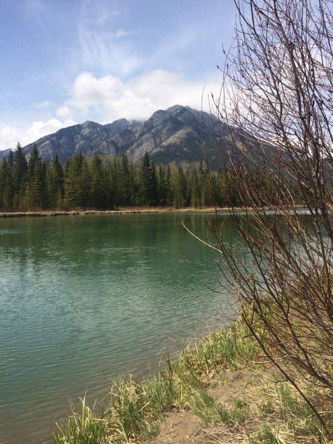 Banff1