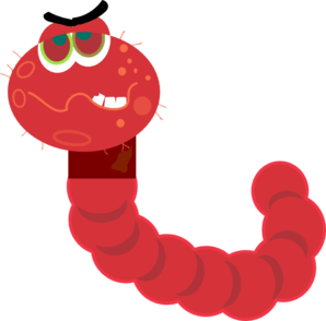 worm