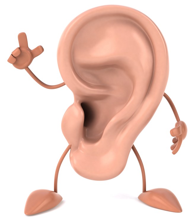 Oreille