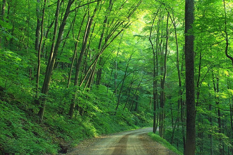 countryside