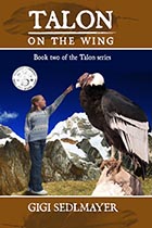 Talon On the Wing by Gigi Sedlmayer