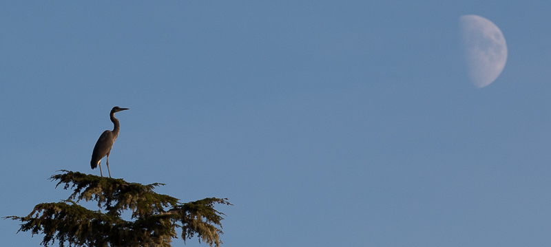 20181017-IMG_5066