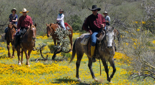 Elkhorn Ranch, Arizona Dude Ranch