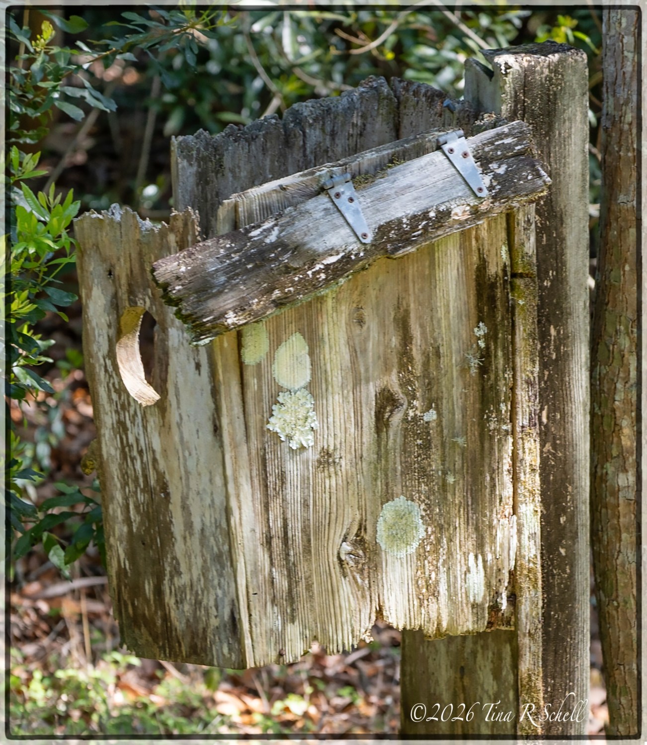 birdhouse, broken down, needs repair