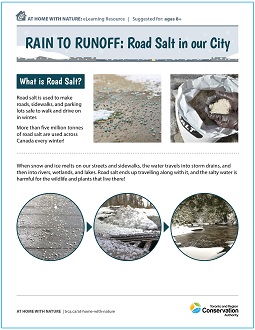 TRCA Rain to Runoff - Road Salt in Our City e-learning worksheet
