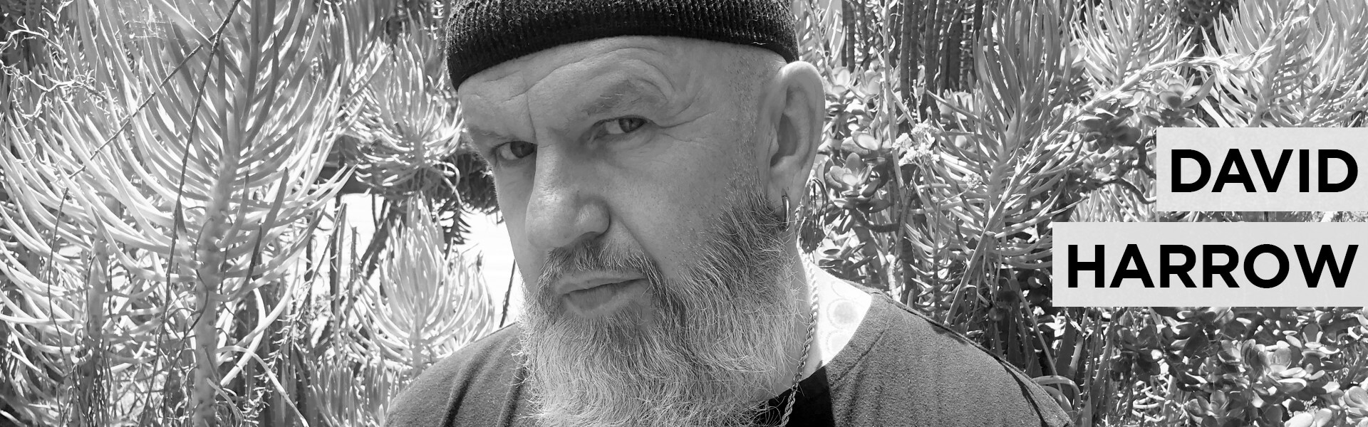B David Harrow Artist 2021