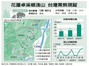 卓溪黑熊族群增 人熊衝突成隱憂