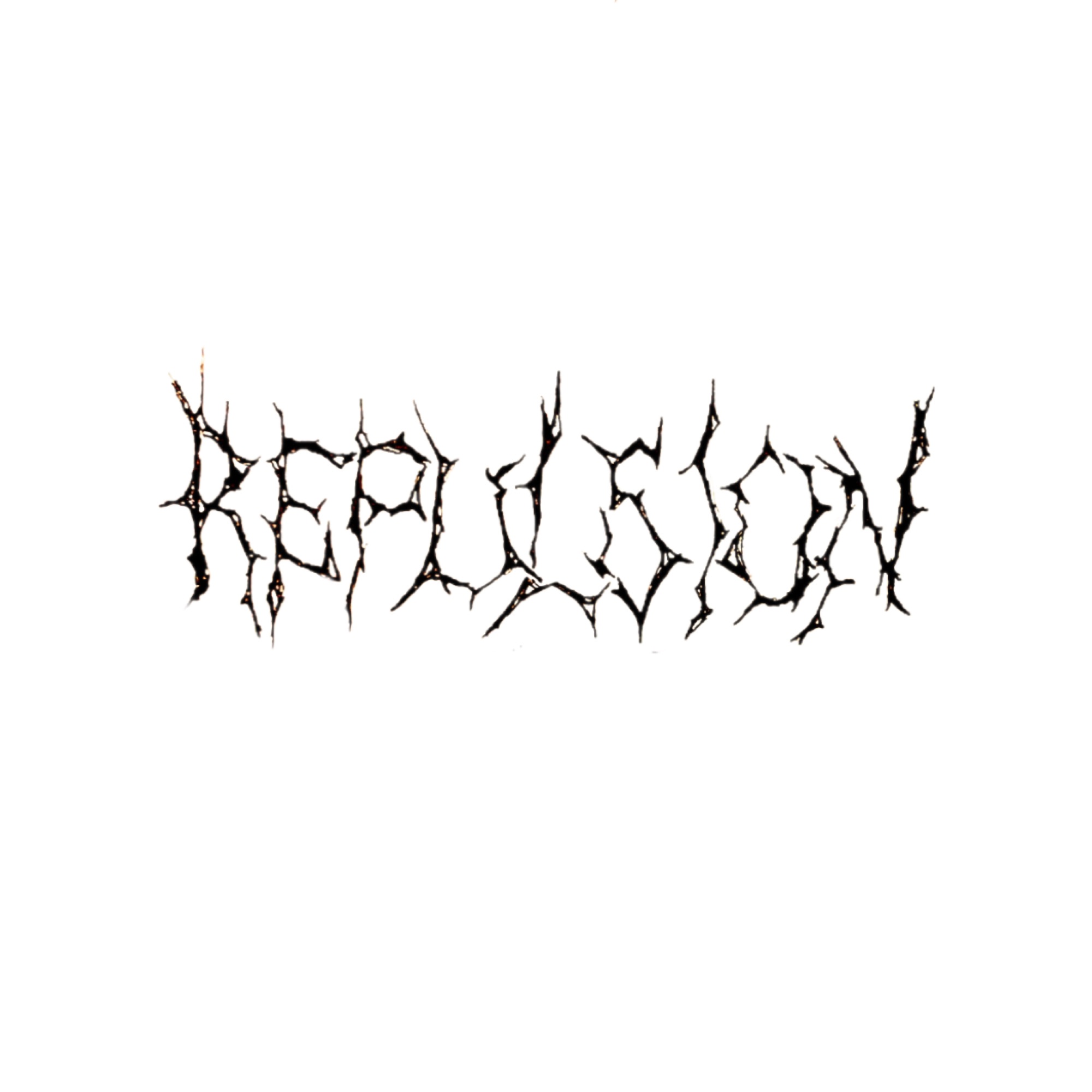 repulsion_'s avatar