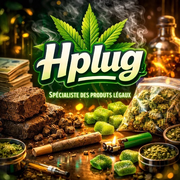 hplug's avatar