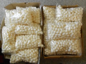 cocoons-2