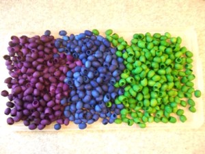 cocoons-6