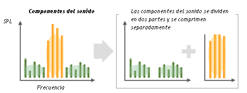 Clasificación de los sonidos