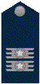 Insinia de Coronel de la Fuercia Aérea Brasilana.