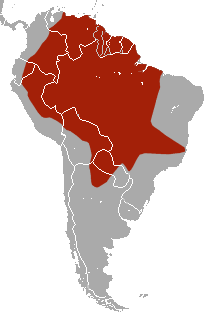 Área de distribución de P. maximus