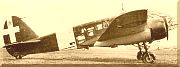 Caproni Ca.311