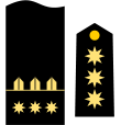 Acolumbra de coronel de la Infantería de Marina.