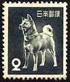 秋田犬 （1953年発行）