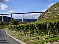 Viaduct en wijngaarden