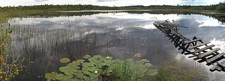 Augjärv