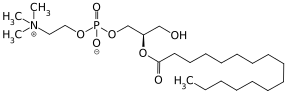 2-Palmitoyllecithin