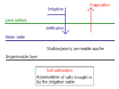 Salinización del suelo en terreno sin acuífero importante y con pobre drenaje subterráneo.
