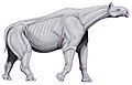 I. restoration