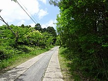 バス専用道路