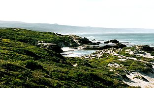 'n Strand in De Hoop-natuurreservaat