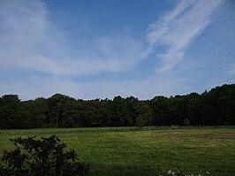 Kruisbergse bossen gezien vanaf havezate Hagen