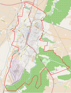 Mapa konturowa Kwidzyna, u góry nieco na lewo znajduje się punkt z opisem „Konsulat RP w Kwidzynie”