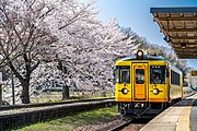 春の夕日ヶ浦木津温泉駅に停車する宮津線普通列車