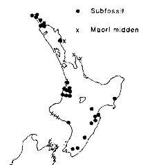 Mapa występowania