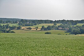 La Charente limousine, près de La Péruse, dans l'est.