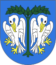 Wappen von Łowicz