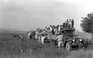 במרכז התמונה שיירה של שלוש משאיות, שעליהן עומדים המתנדבים. המשאיות פונות לפינה הימנית התחתונה של התמונה. המשאיות עומדות בשדה עשב ופרחים. המתנדבים שעומדים על המשאיות מביטים לכיוון הצופה. שלושה אנשים לבושי חקי עומדים בשדה לצד המשאיות - ומכוונים אותן.