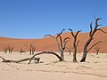 Frå Sossusvlei-ørkenen i Namibia.