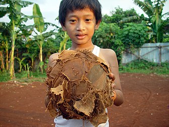 Jeune garçon indonésien à Jakarta avec son ballon de football en lambeaux. (définition réelle 2 560 × 1 920*)