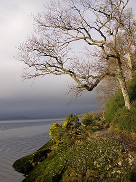 Loch Lomond