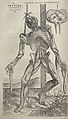 Image 29Vesalius's intricately detailed drawings of human dissections in Fabrica helped to overturn the medical theories of Galen. (from Scientific Revolution)