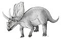 Mojoceratops