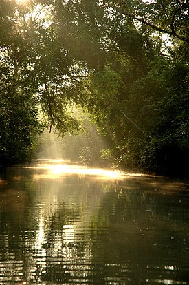 Sundarbans