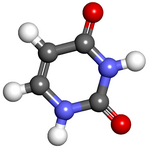 Image illustrative de l’article Uracile