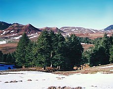 L'habitat peut s'avérer très rude pendant l'hiver, comme ici dans le Moyen Atlas au Maroc.