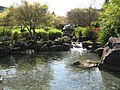 Another picture of Microsoft's RedWest Campus. Redmond, WA.