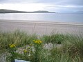 Strand bei Dingle, Irland