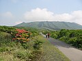 Izu Ōshima