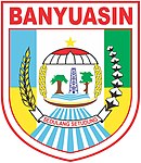 Kabupaten Banyuasin