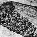 Image 2The bodies of the dead lie awaiting burial in a mass grave at the camp. (Bergen-Belsen concentration camp)