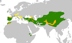 alt=Distribución de las especies de este género.      Pyrrhocorax pyrrhocorax      Pyrrhocorax graculus      Ambas especies