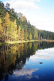 Parco nazionale del Nuuksio in autunno